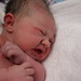Elizabeth Tierney Photo 17