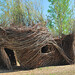 Susan Hayden Photo 22