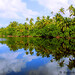 Mohamed Hussain Photo 35