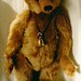 Teddy Howell Photo 11