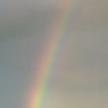 Scott Michaels Photo 6