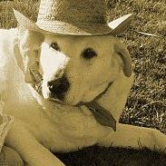 Ginger Crenshaw Photo 1