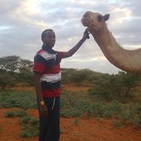 Abdirahman Mohamed Photo 13