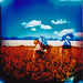 Diana Field Photo 14