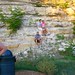 David Medrano Photo 25