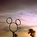 Mickey Power Photo 15