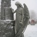 Angel Thomas Photo 19