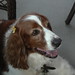 Robyn Welsh Photo 15
