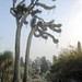 Patricia Huntington Photo 8