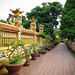Quoc Tran Photo 9