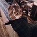 Amy Couch Photo 17