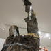 Nathan Green Photo 32