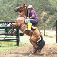 David Ruiz Photo 41