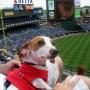 Kelly Schmidt Photo 41