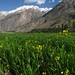 La Fields Photo 19