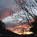 Michael Hedges Photo 49
