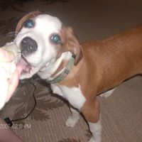 Cindy Whitaker Photo 27