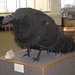 Nancy Boyer Photo 23
