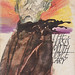 Joyce Lawrence Photo 16