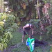 Geoffrey Plant Photo 11