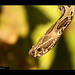 Russell Sharp Photo 10