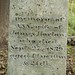 Ann Horton Photo 24