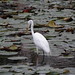 Lora Ponds Photo 2