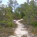 Sandy Hoeft Photo 7