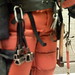 Shawn Elliott Photo 43
