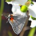 Jonathan Gray Photo 43