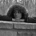 Tonya Crook Photo 13