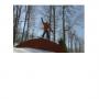 Jared Snider Photo 14