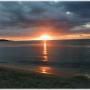 Sharon Tripp Photo 14
