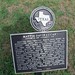 Mattie Davis Photo 21
