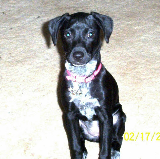 Sherry Duke Photo 24