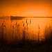 Misty Reed Photo 8
