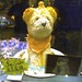 Scottie Justice Photo 4