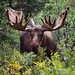 Reed Miller Photo 19