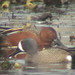 Jeanette Laporte Photo 6