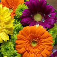 Linda Pepin Photo 8