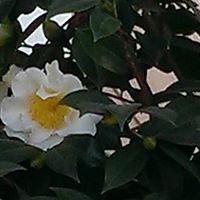 Deborah Coley Photo 14