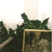 Paul Montes Photo 13