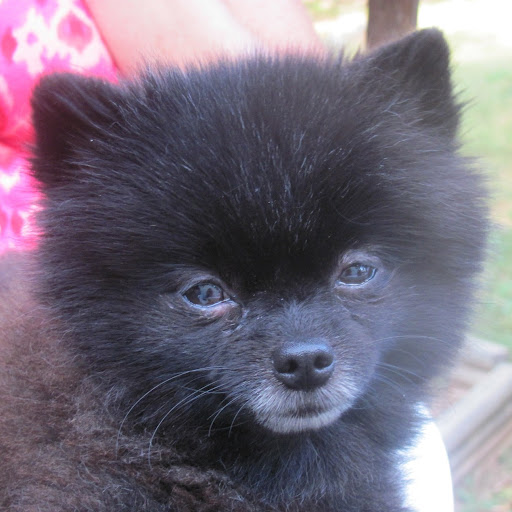 Debra Mccarty Photo 5