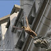 Michael Falcon Photo 22