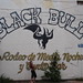 Christine Bull Photo 23