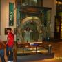 Shelley Webster Photo 7