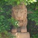 David Park Photo 41