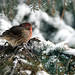Tim Finch Photo 11