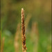 Timothy Flora Photo 3