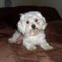 Gina Conley Photo 21